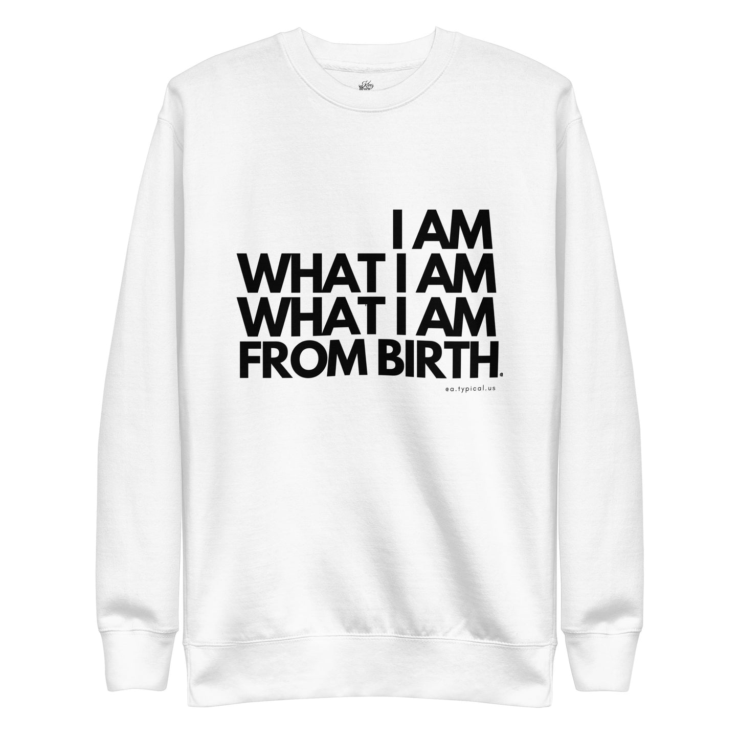 "I AM" Adult Premium Pullover