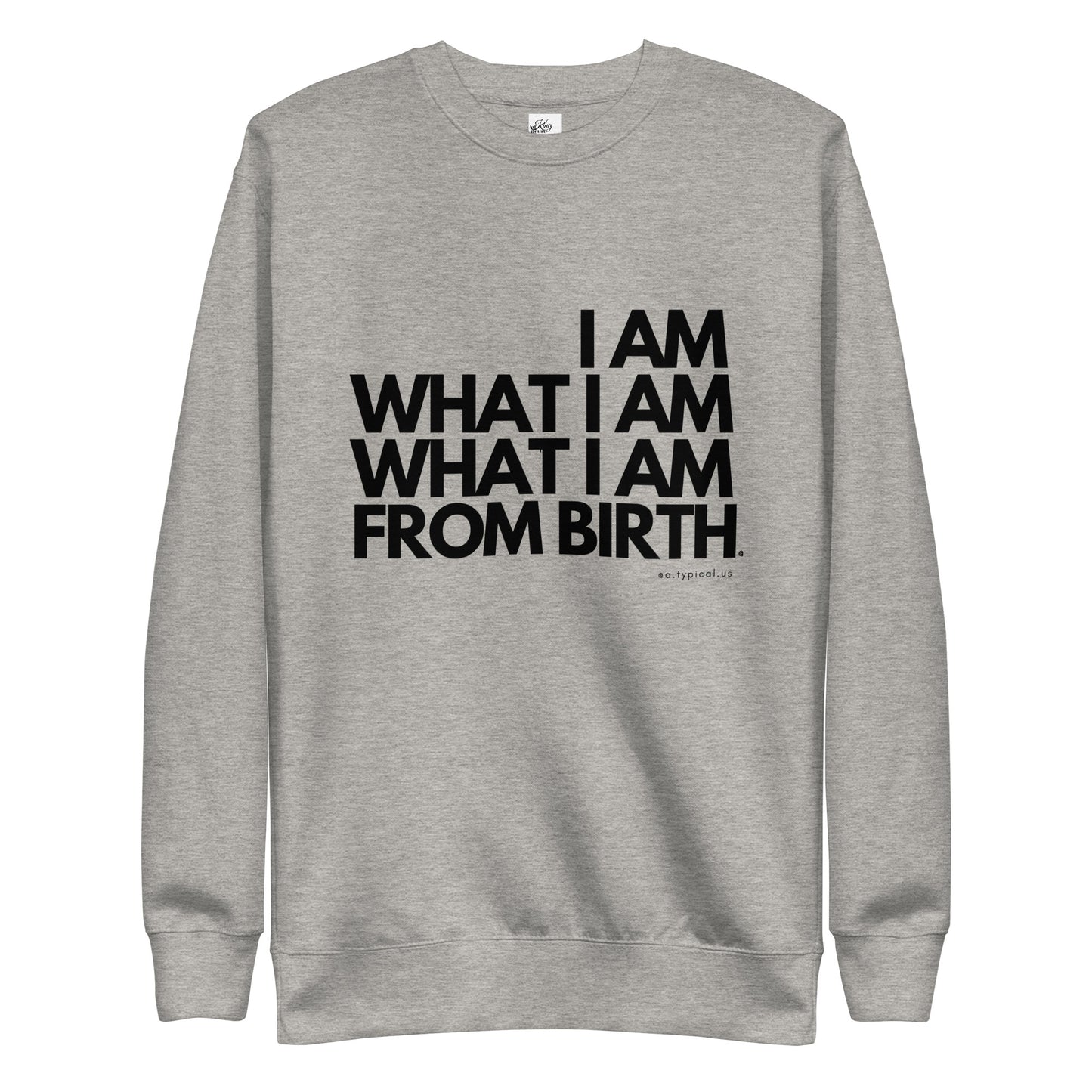 "I AM" Adult Premium Pullover